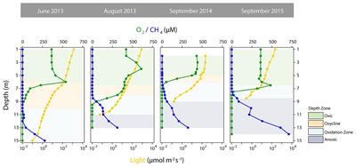 Environmental and Microbial Interactions Shape Methane-Oxidizing Bacterial Communities in a Stratified Lake